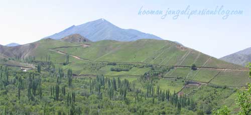 قطعه بندی مراتع غنی کوهستانی به منظور فروش و ساخت و ساز ، اطراف میگون