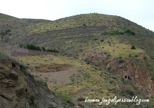 خط کشی و قطعه بندی دامنه های کوهستانی با حدود 70 درصد شیب