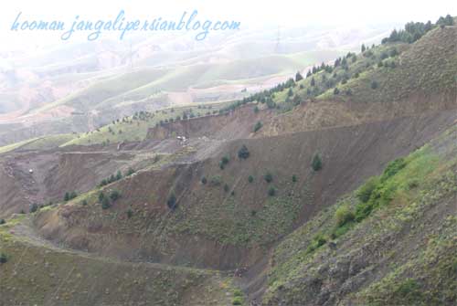 جاده های اختصاصی و تخریب اراضی ملی کوهستانی